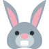 Rabbit Face